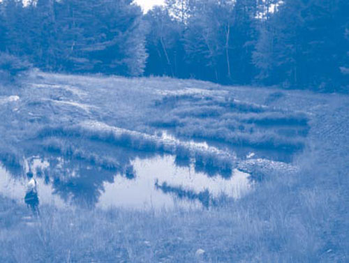 Figure 4. Circulation within the wetlands (as depicted after one year of vegetative growth) is enhanced by inner berms to increase the length of the flow path and maximize residence time of MIW.