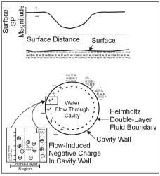 Schematic of flow-induced negative streaming potentials (Erchul and Slifer, 1989)