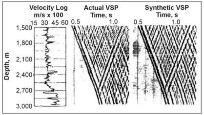 Comparison of real and synthetic Vertical Seismic Profiles.