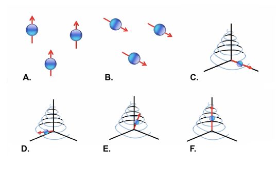 Figure 2. In an NMR measurement, (A.) water molecules align with the tool magnet, establishing a 'background state'. (B.) The molecules are pushed out of alignment with the background state by pulses of radio frequency emitted by the tool antenna. In (C.), (D.), and (E.), the molecules 'relax' back to (F.), the background state (Source: USGS).