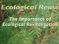 Photo of Ecological Reuse: The Importance of Ecological Reuse Video