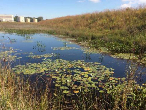 Pharmacia & Upjohn Company LLC Site Constructed Wetlands Habitat