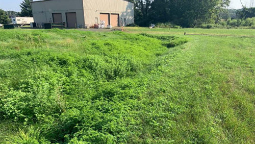 Solvents Recovery Service of New England, Inc. Superfund Site Vegetated Swale
