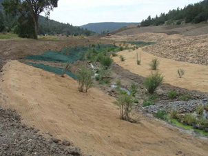 Geotextile material and trees and shrubs installed onsite (Source: New Mexico Mining and Minerals Division)