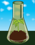 Soil Science image
