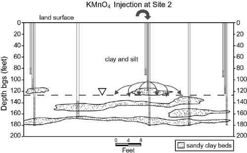 Figure 3. Fine-grained clay and silt prevented complete distribution of  KMnO4 through vertical flooding at AFP 44 Site 2.
