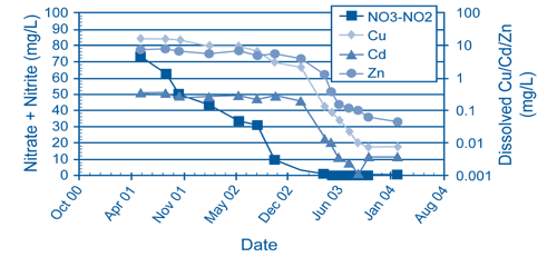 Figure 2. Dissolved-phase concentrations of metals in acid mine water at the Gilt Edge Mine fell more than 99% following denitrification with the onset of sulfate reduction.