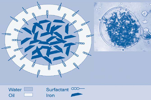 Figure 1. EZVI technology demonstrated at the NASA test site employed emulsion droplets containing nanoscale iron particles in water surrounded by an oil-liquid membrane.