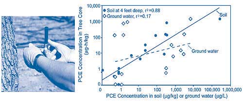 Figure 3. Correlation analysis of data collected from individual trees at the Front Street site indicates that tree cores accurately predicted PCE concentrations in the soil but only loosely predicted ground-water concentrations.