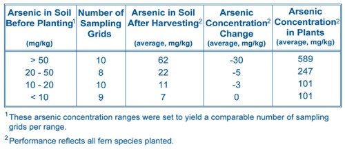 Table 1. Concentrations of arsenic in Spring Valley soil decreased an average of 9 mg/kg after one season of fern growth in 2005.