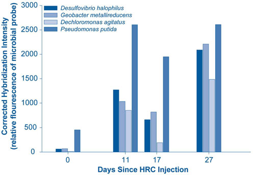 Figure 1. Microarray analysis indicates Desulfovibrio spp. are the predominant populations during biostimulation in Hanford's Site 100H ground water.