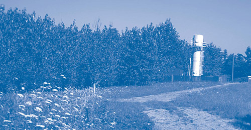 Figure 1. Trees at the Cascade Corporation site in Troutdale OR, have grown about 25 feet over 10 growing seasons, allowing for metabolism, transpiration, and rhizodegradation of TCE.
