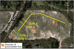 Configuration of PRB system at the Delatte Metals site showing locations of transects sampled; orange segment represents former pilot-scale PRB containing 33:33:33 cow manure, wood chips, and limestone gravel, and green segment represents former pilot-scale PRB containing 67:33 cow manure and limestone (as used in full-scale PRB depicted in yellow).