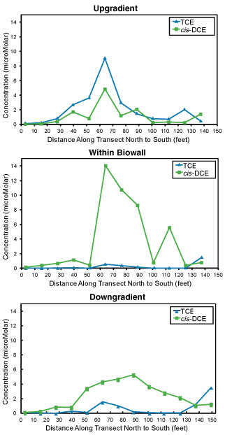 Contaminant concentrations in August 2006 showed increased cis-1,2-DCE and VC concentrations within the biowall and downgradient as TCE concentrations decreased, suggesting occurrence of reductive dechlorination.