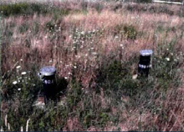 Vegetation cover and monitoring wells on Allen Harbor Landfill.