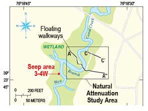 Seep area 3-4W along West Branch Canal Creek at  APG.