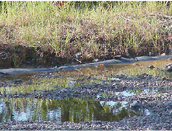 Surface of the underground limestone/microbial treatment system (in foreground) positioned upgradient of Kimble Creek.