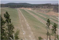 Five uppermost slopes and drainage channels along the capped Ruby Gulch waste repository, approximately three months after seeding