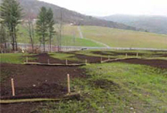 Figure 5. Slope stabilization and erosion control at the Elizabeth Mine Superfund Site was achieved using a compost blanket combined with tubular sediment control devices.