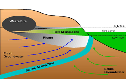 FIGURE 1. Conceptual Representation of Coastal Contaminant Migration Process and Associated Groundwater–Surface Water Interaction