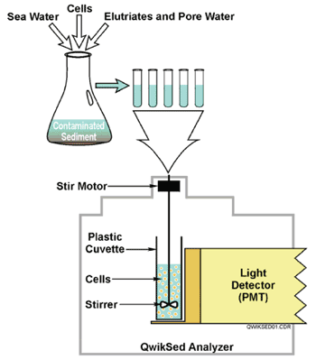FIGURE 3. Schematic of the QwikSed bioassay.