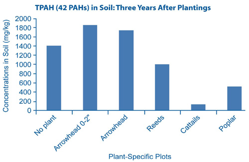 Figure 4. Cattails apparently degraded the largest amount of total polyaromatic hydrocarbons (TPAH) in soil at the Indiana Harbors Canal study plots.